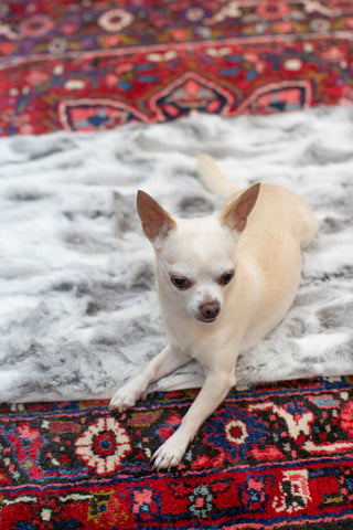 Small Rabbit Fur Throw